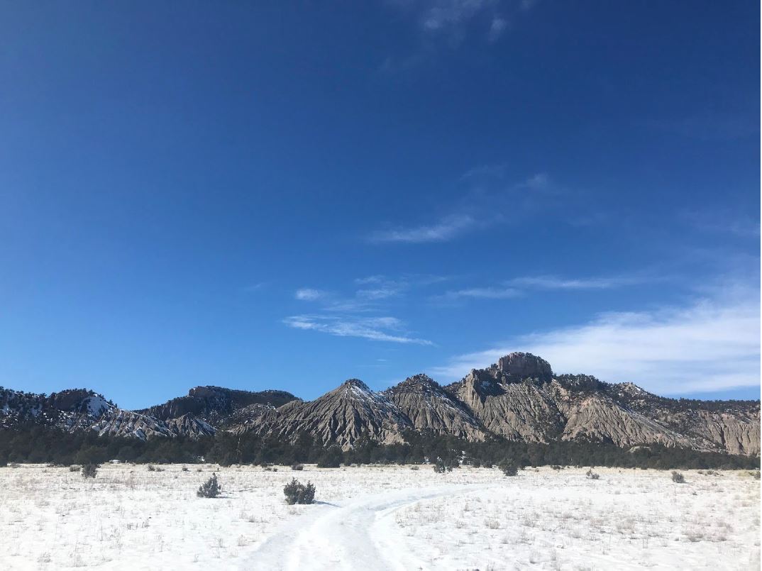 Field Notes Mexican Gray Wolf Recovery Efforts WinterSpring 2020